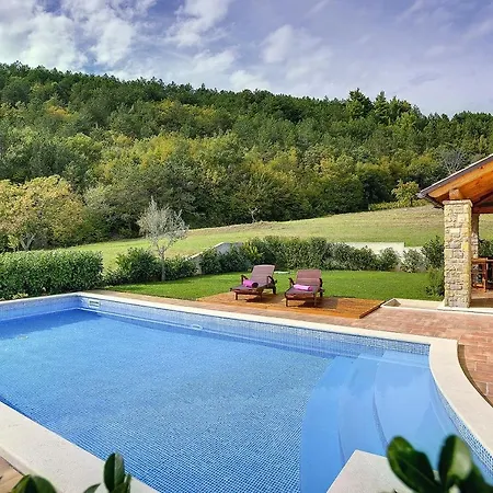 317 Villa Buzet